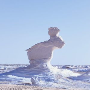 Gallery Thumbnail 13