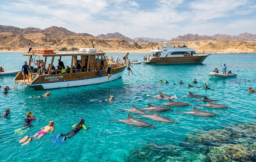 Dolphin House Tours in Marsa Alam